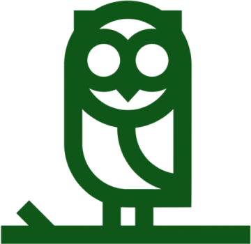 a green owl sitting on a tree branch
