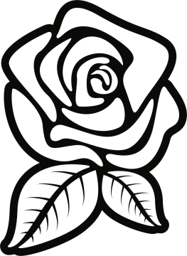 a black and white rose with leaves