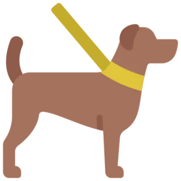 a brown dog with a yellow harness