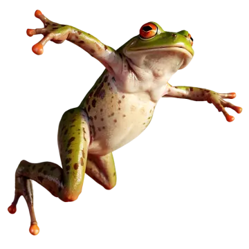 a frog that is jumping in the air