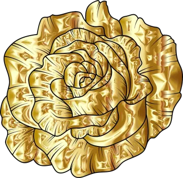 a golden rose flower on white background