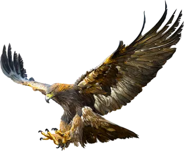 an eagle flying in the air with its wings spread