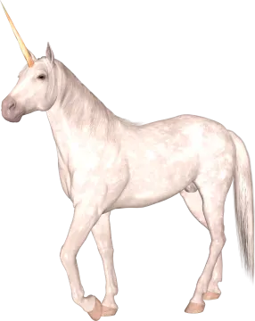 a white unicorn with a golden horn