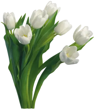 a bunch of white flowers in a vase