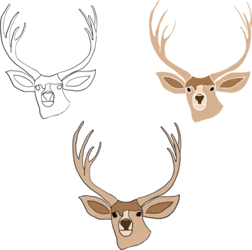 how to draw a deer head