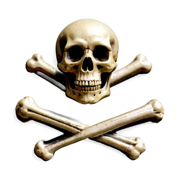 a skull and cross bones on a white background