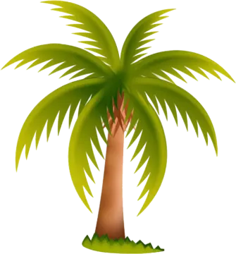 a palm tree with green leaves