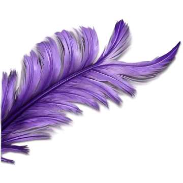 a purple feather on a white background