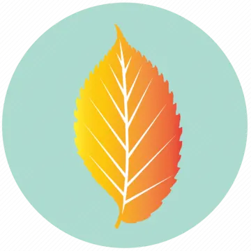an orange leaf in a blue circle