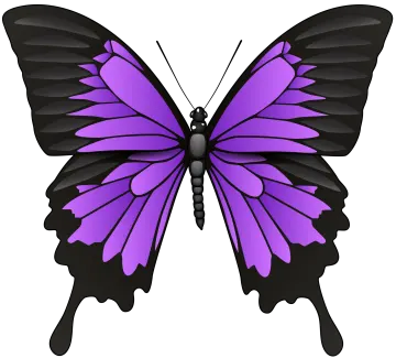 a purple butterfly on a white background
