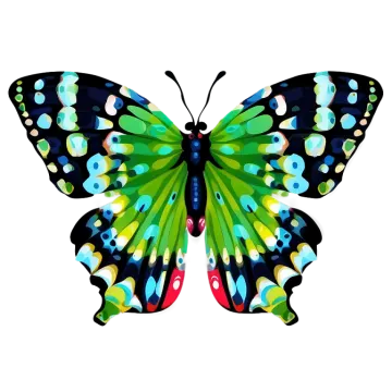 a colorful butterfly on a white background