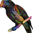 a colorful bird sitting on top of a branch