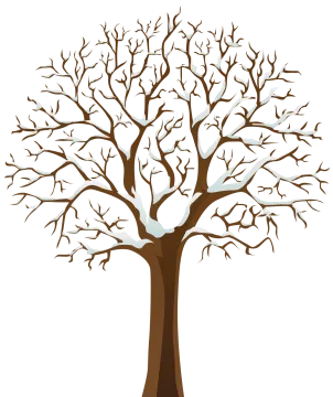 a tree with snow on it
