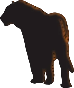 the silhouette of a black panther
