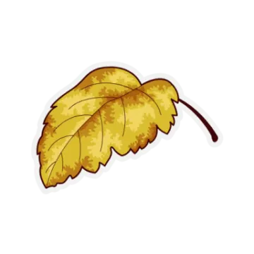 a yellow leaf on a white background