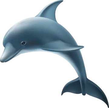 a dolphin jumping out of the water