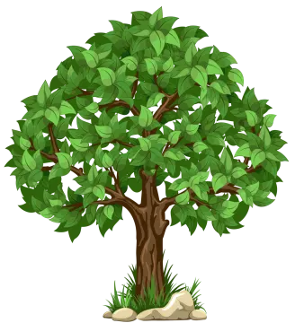 a tree with green leaves on white background