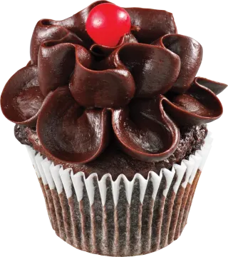 a chocolate cupcake with a cherry on top