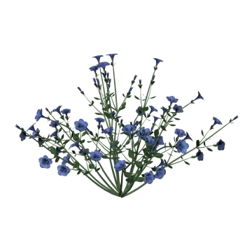 a bunch of blue flowers on a white background