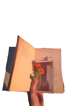 an open book with a flower in it
