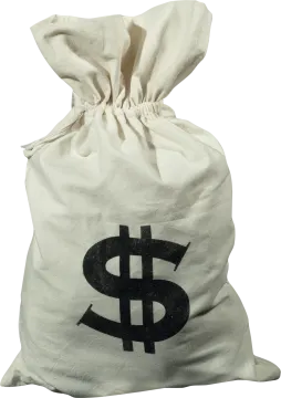 a bag with a dollar sign on it