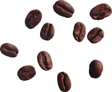 coffee beans on a white background