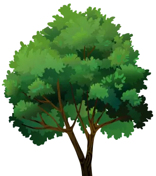 a tree with green leaves on it