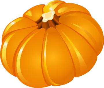 a pumpkin on a white background