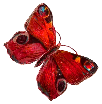 a red butterfly on a white background
