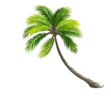 a palm tree on a white background