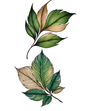 a drawing of leaves on a white background