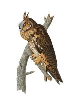 a bird perched on a tree branch