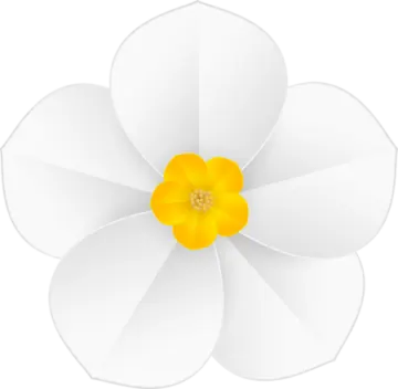 a white flower with yellow center