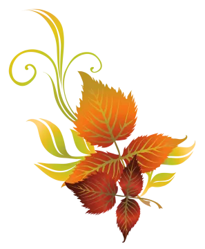 a bunch of autumn leaves with swirls