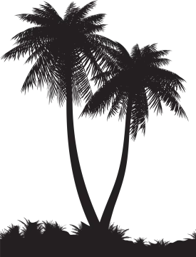 two palm trees silhouetted against a white background