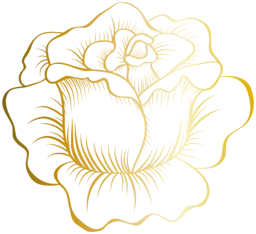a gold rose on a white background