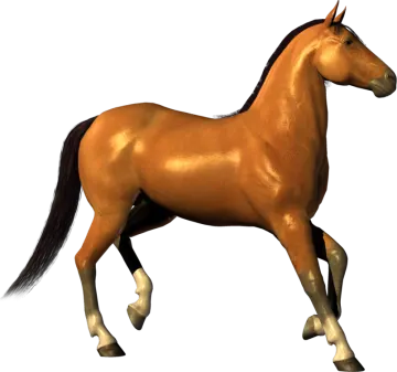 the horse is brown
