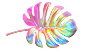 a colorful flower on a white background