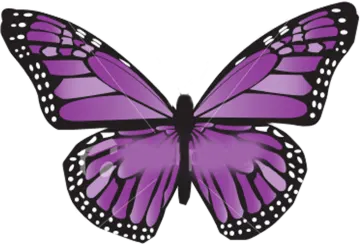 a purple butterfly