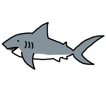 a shark with its mouth open