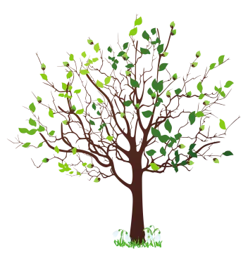 a tree with green leaves on it