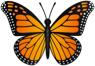 a monarch butterfly on a white background