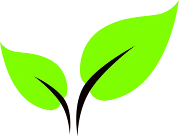 a green leaf logo