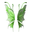 a green butterfly on a white background
