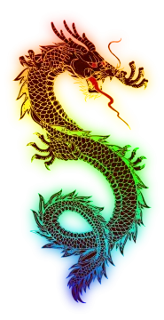 two dragon tattoos on white background