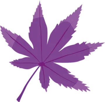 a purple maple leaf