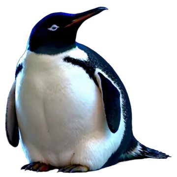 a black and white penguin sitting on the ground