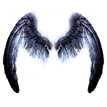 a pair of wings on a white background