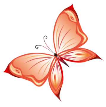 an orange butterfly on a white background