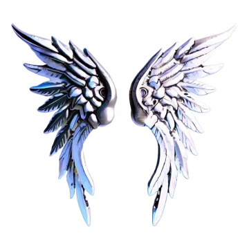 a pair of white and black wings